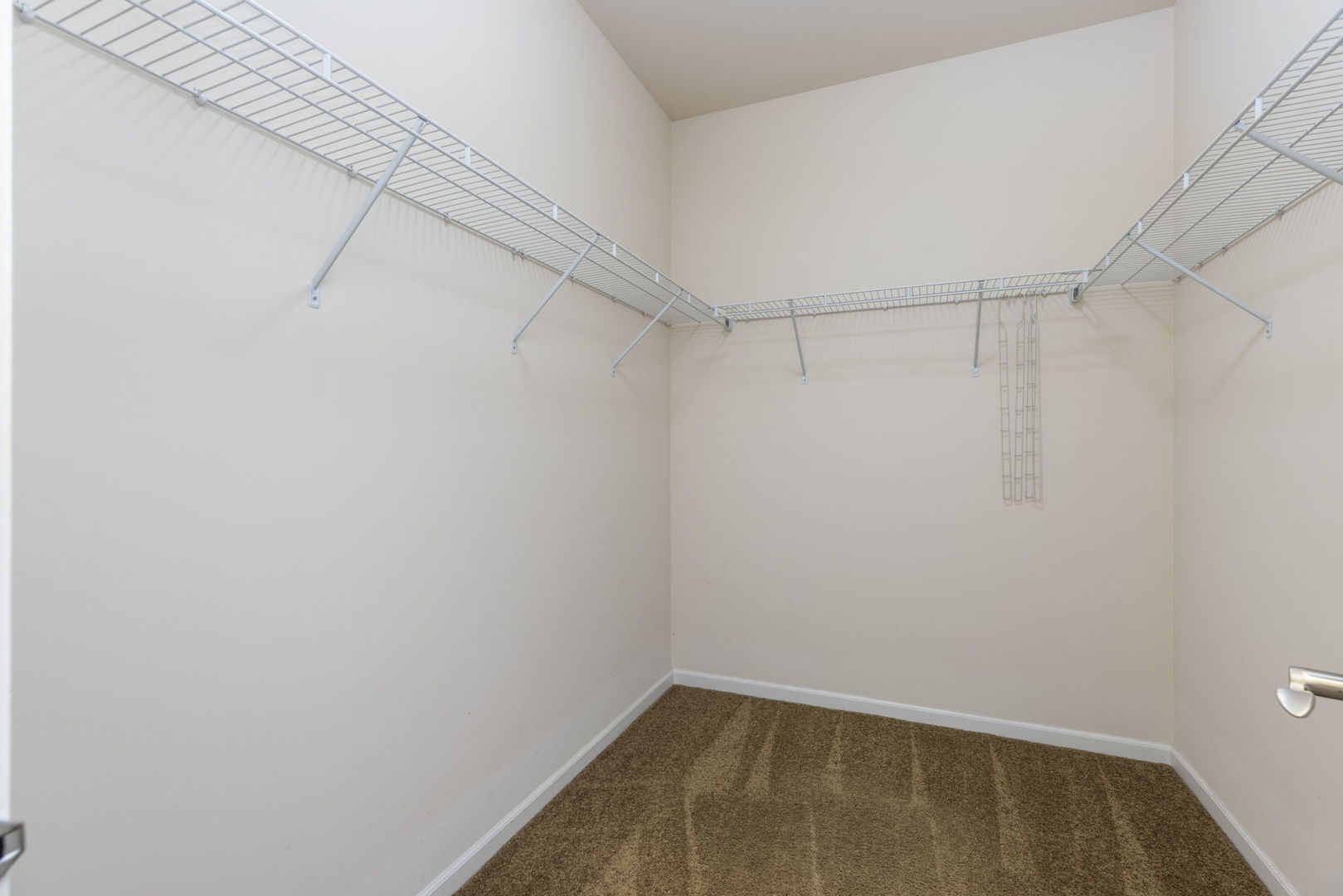 Gallery Image 20