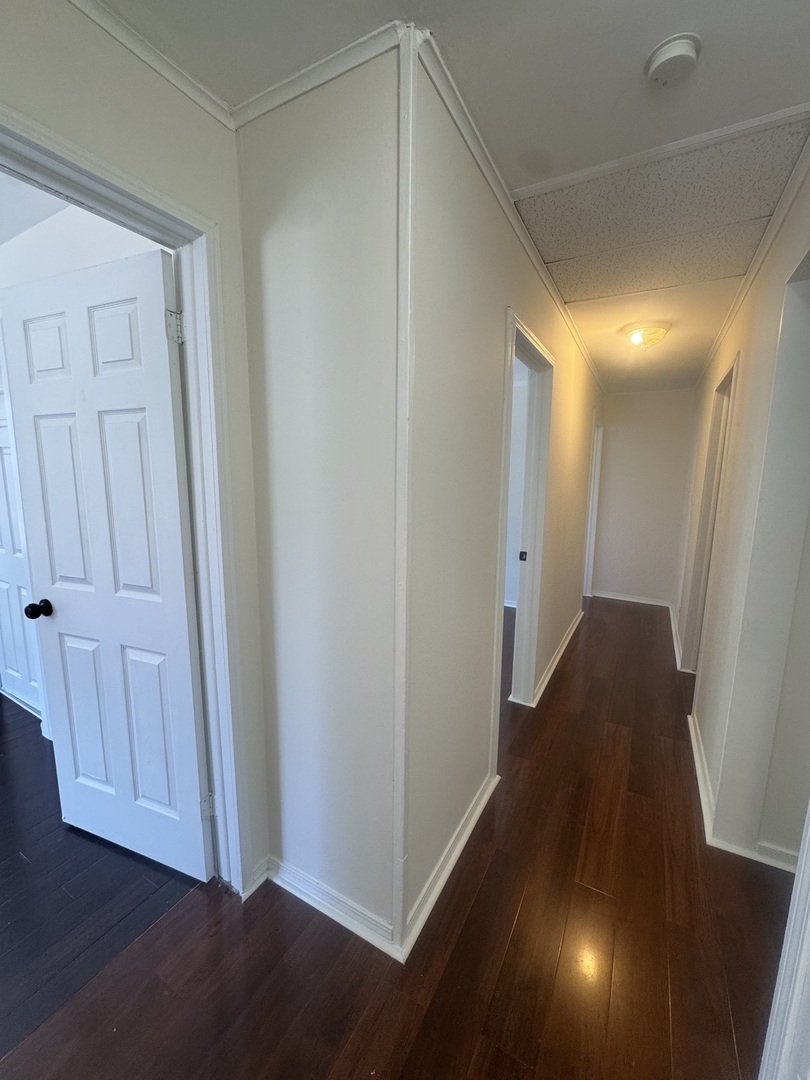 Gallery Image 19