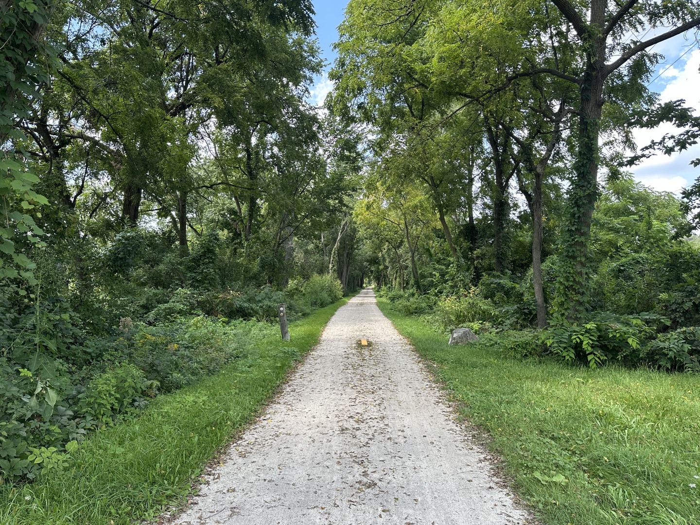 Gallery Image 17