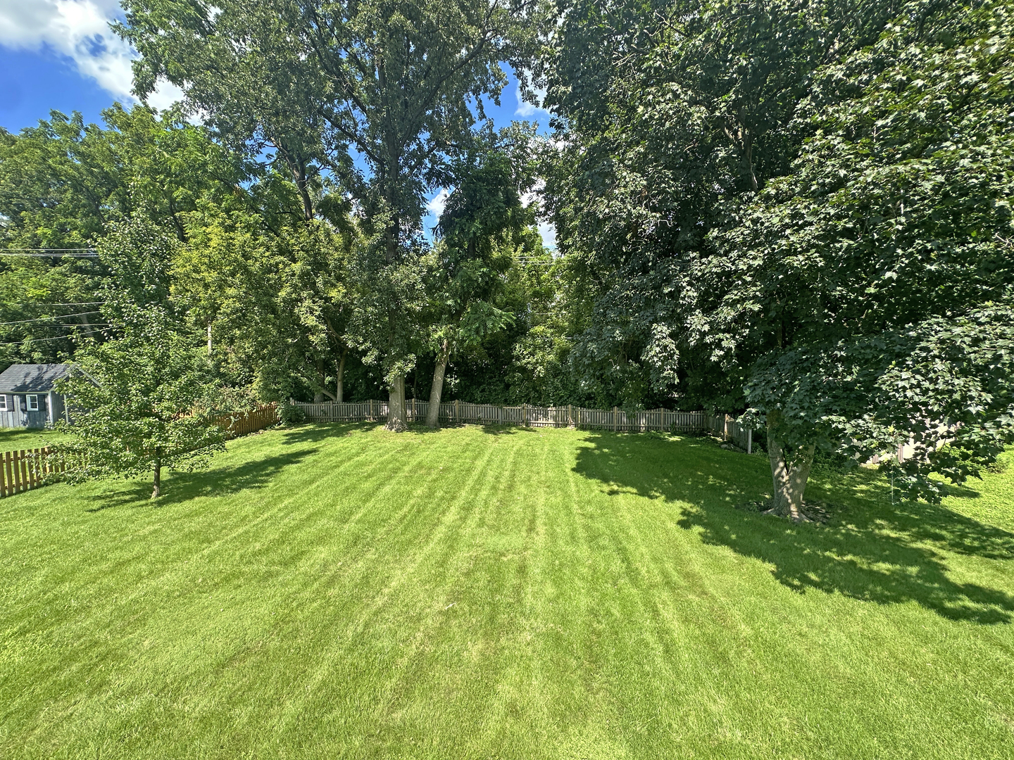 Gallery Image 14
