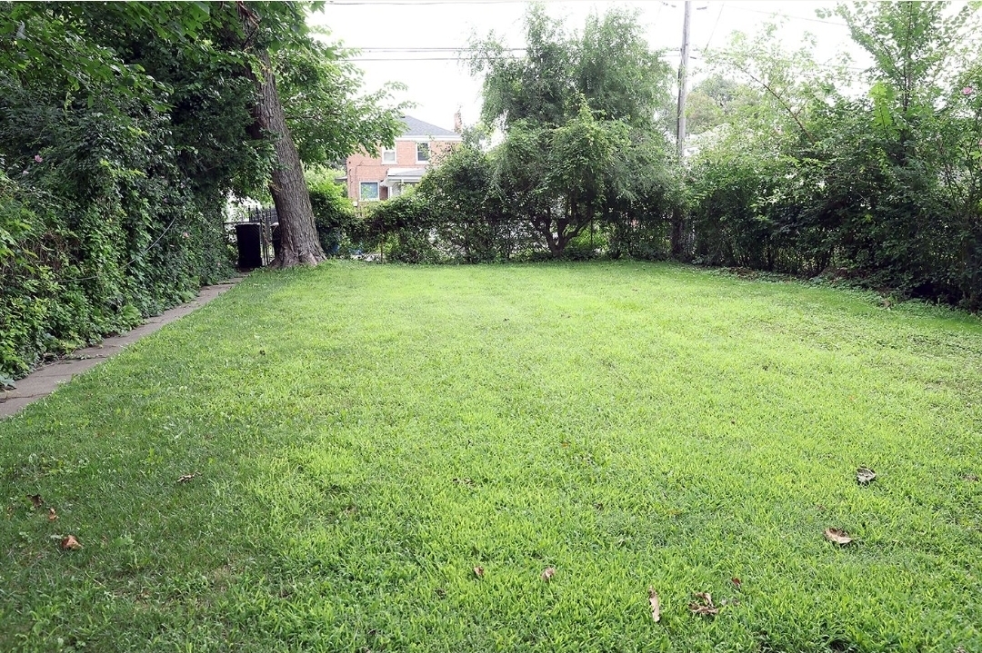 Gallery Image 38