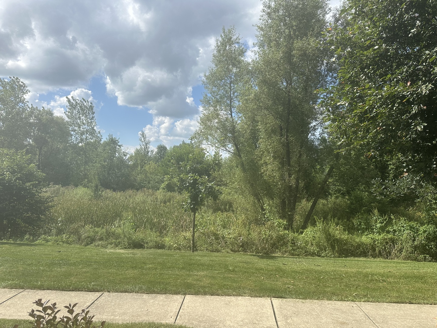 Gallery Image 28