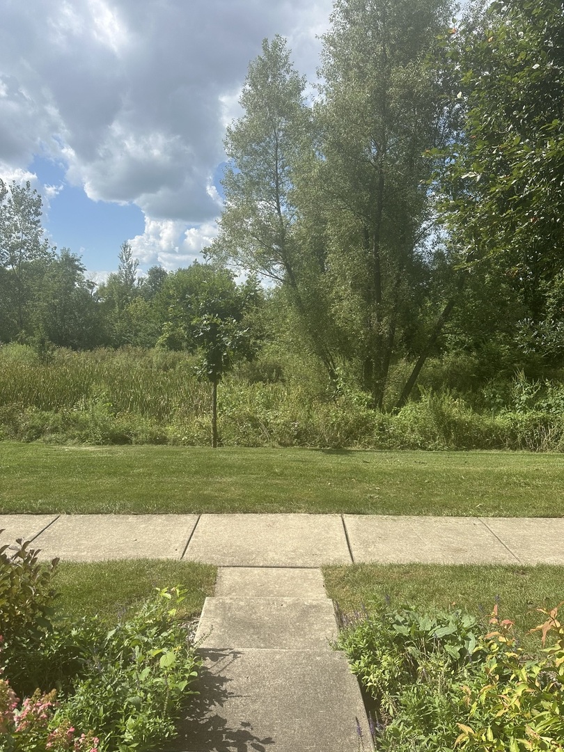 Gallery Image 33