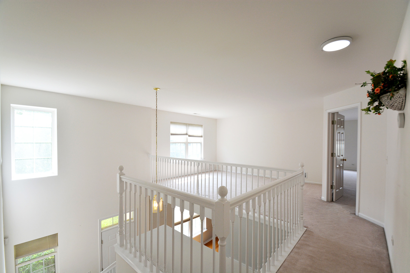 Gallery Image 19