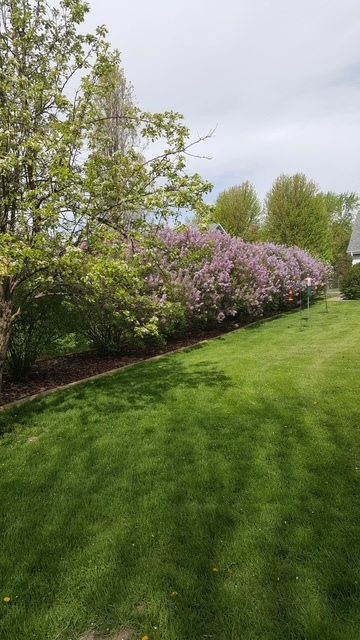 Gallery Image 36