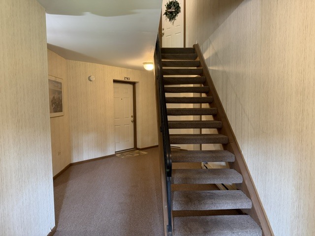 Gallery Image 46