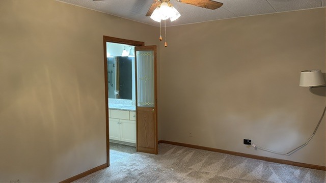 Gallery Image 52