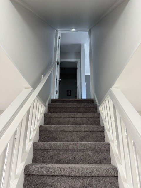 Gallery Image 44