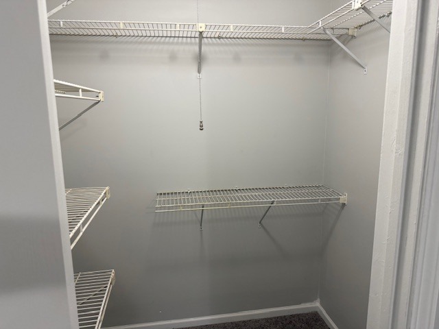 Gallery Image 27