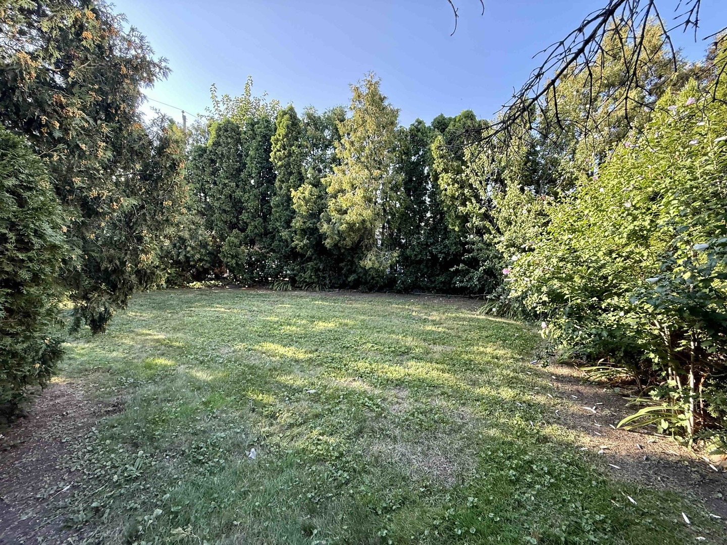 Gallery Image 32