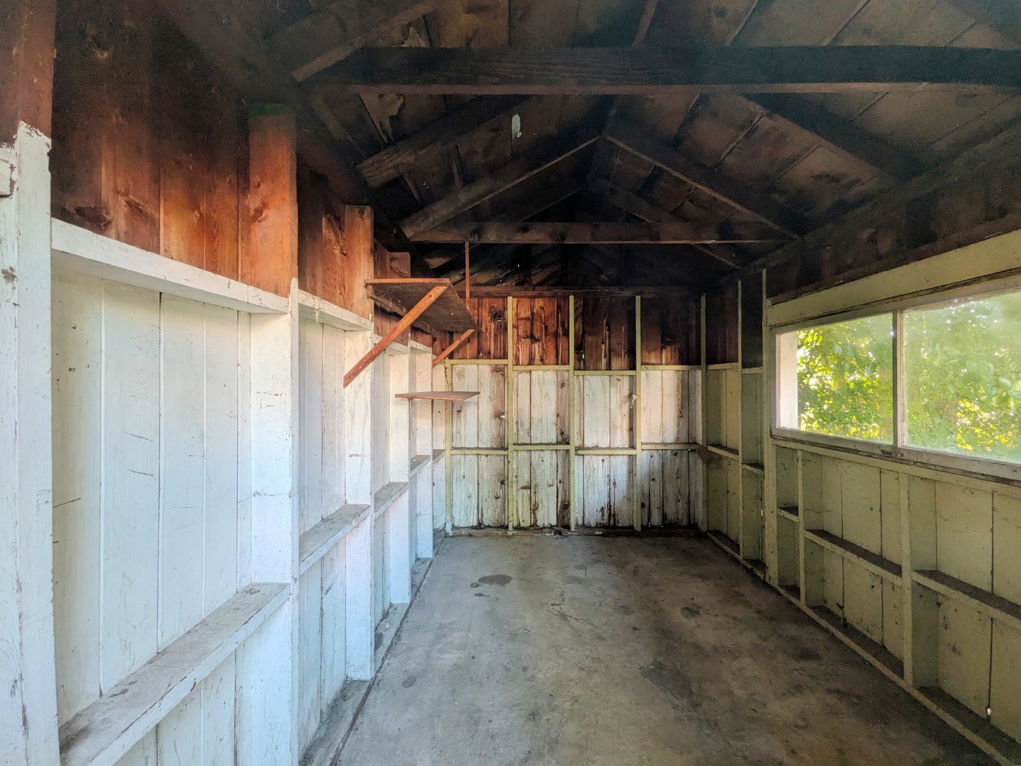 Gallery Image 19