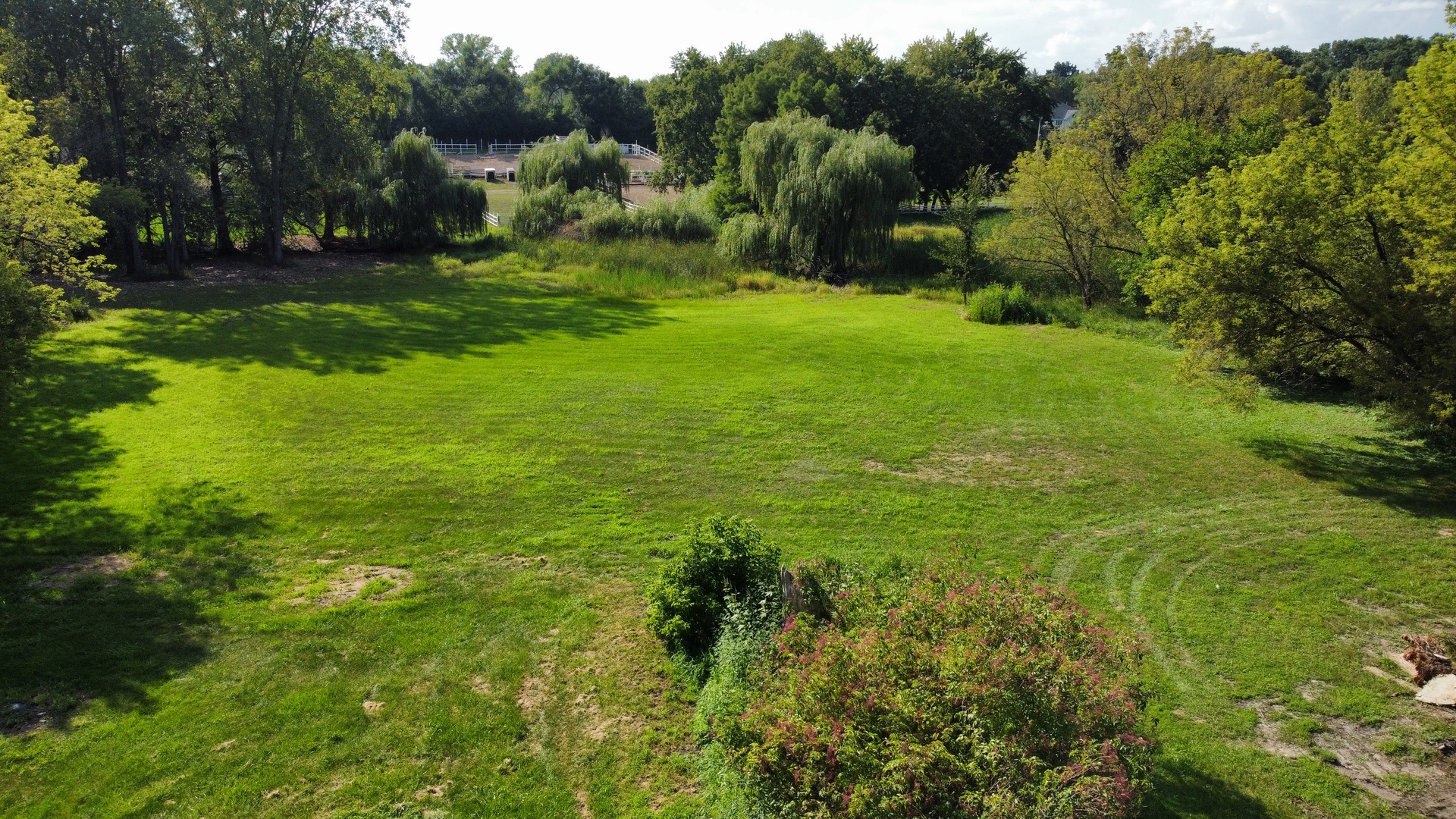 Gallery Image 46
