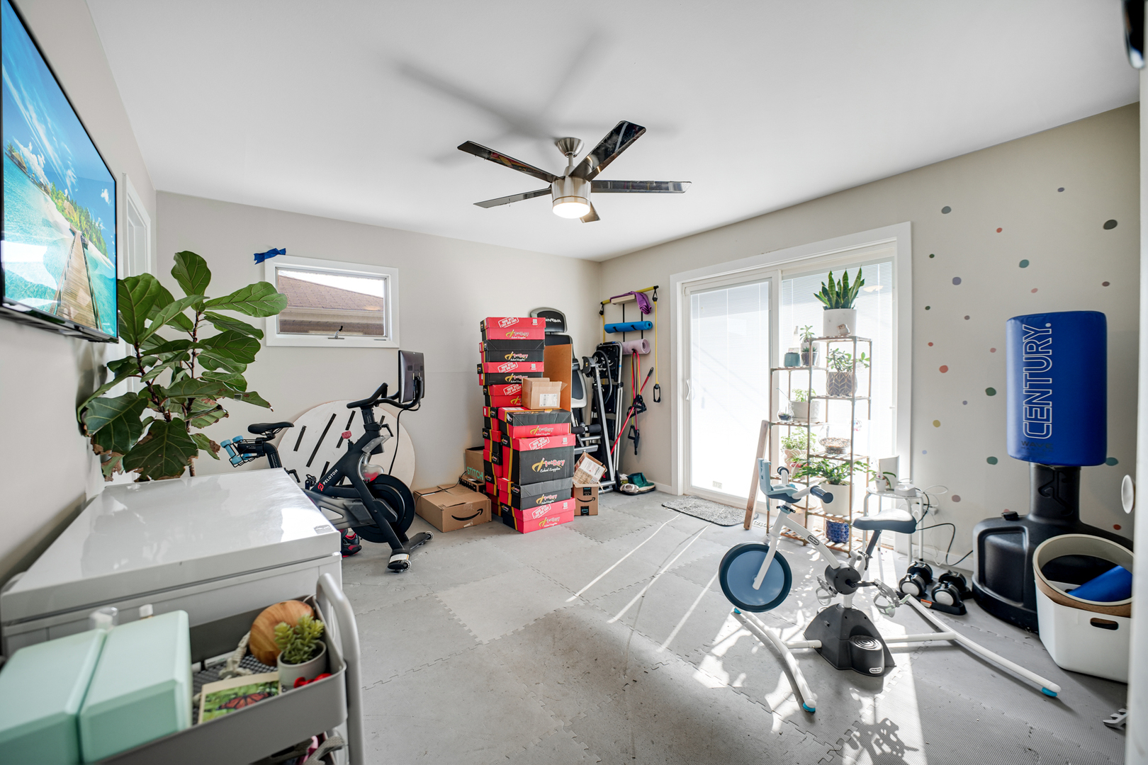Gallery Image 10