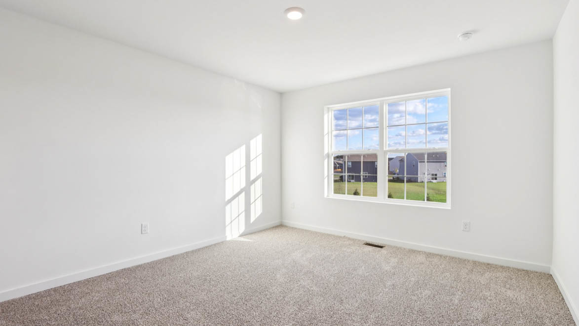 Gallery Image 19