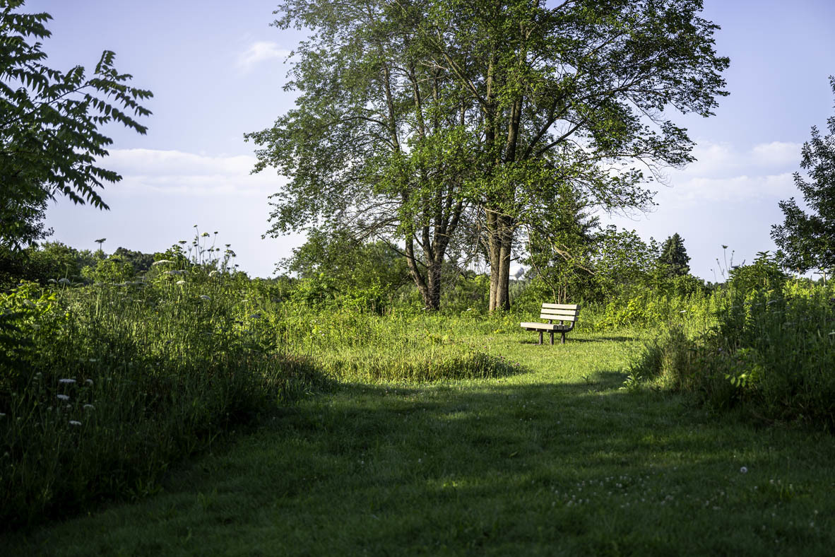 Gallery Image 28