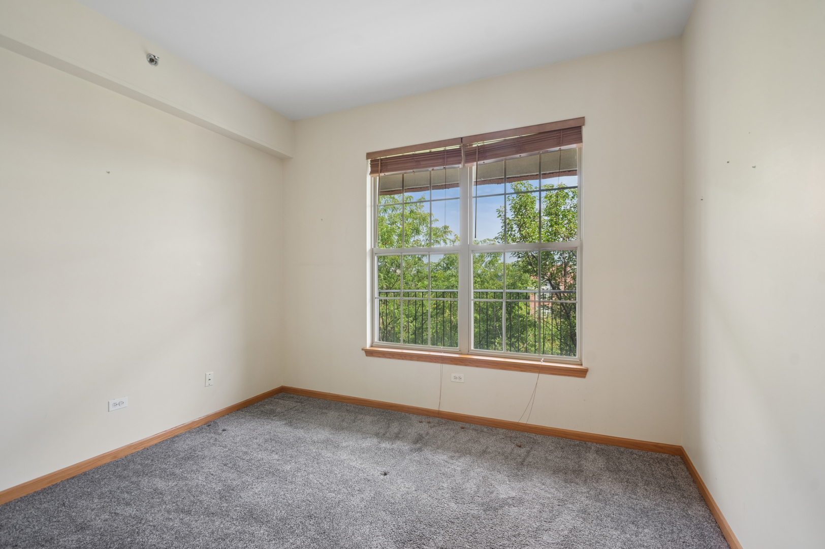 Gallery Image 14