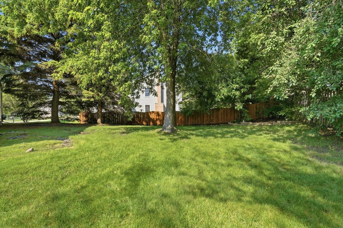 Gallery Image 36