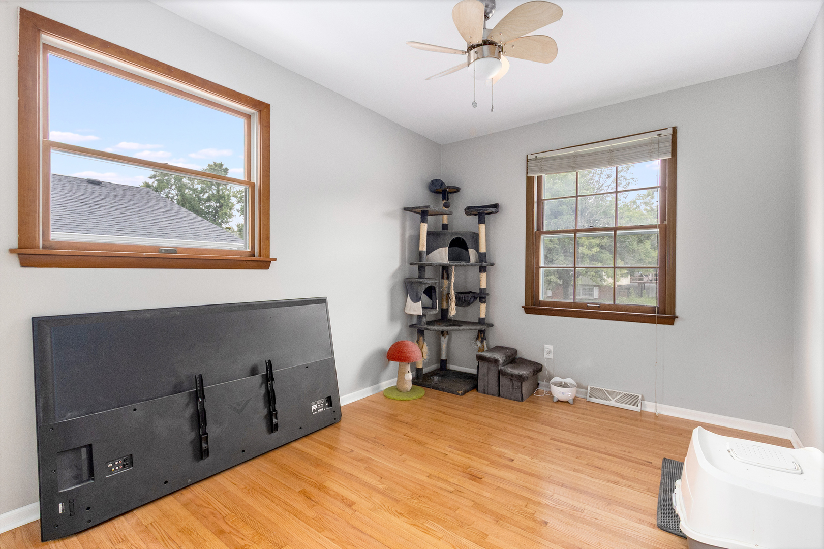 Gallery Image 16