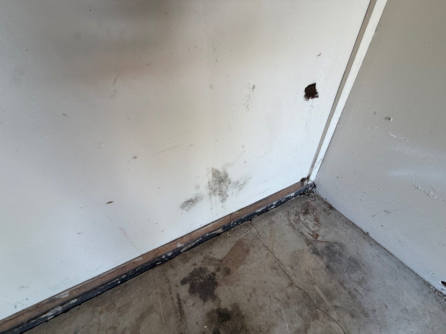 Gallery Image 22